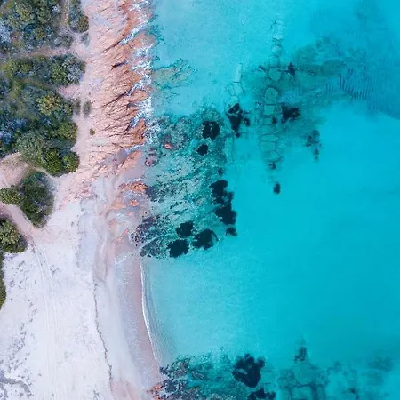 Apartmán Homey Experience - Design *