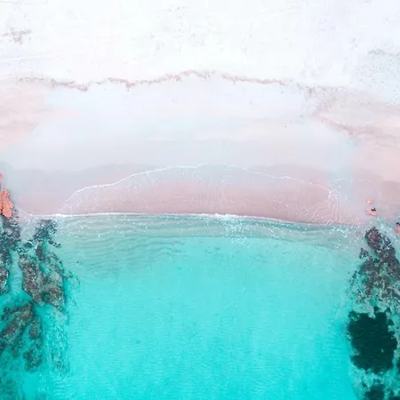 Homey Experience - Design *