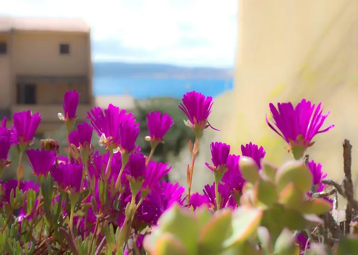 Appartamento Homey Experience - Design