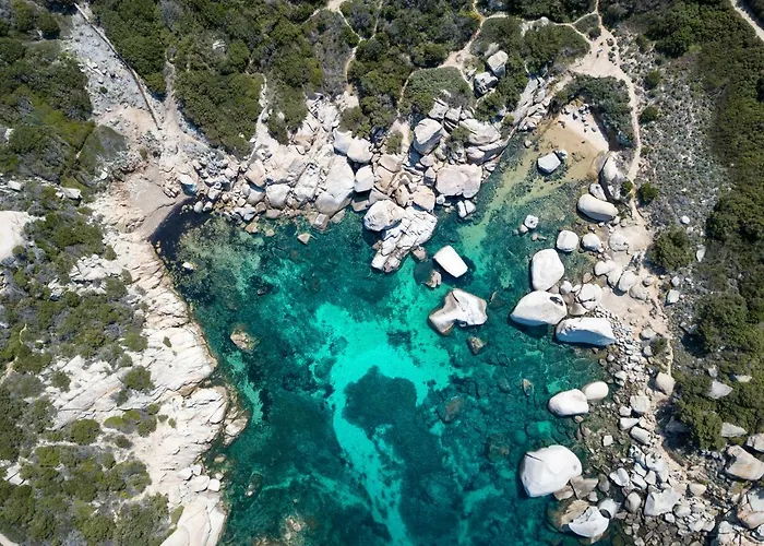 Homey Experience - Design *