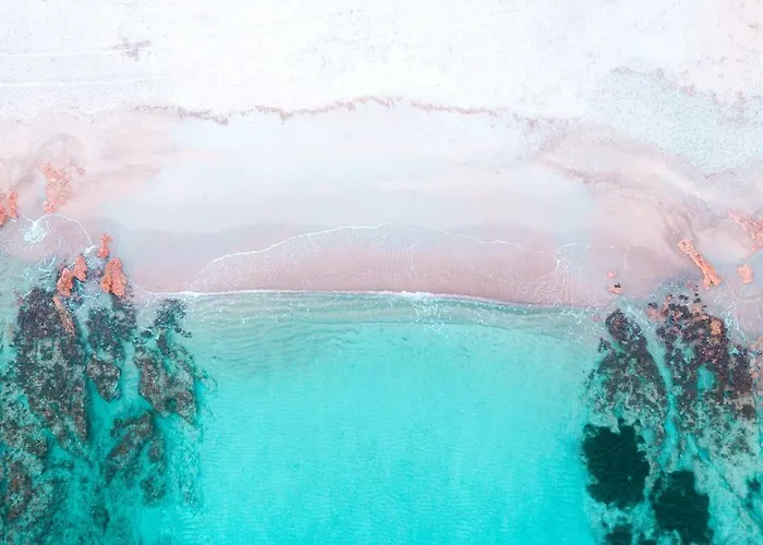 Homey Experience - Design *